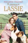El Cachorro de Lassie