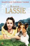 El Coraje de Lassie