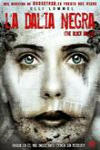 La Dalia Negra (2006/II)