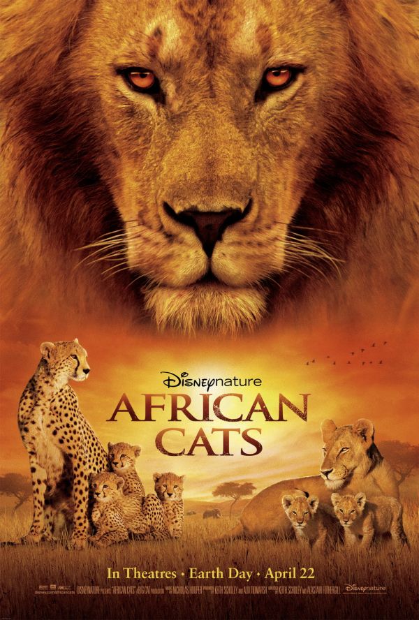 African cats