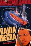 Bahía negra