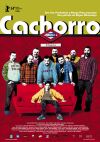 Cachorro