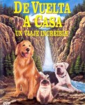 De vuelta a casa, un viaje increíble
