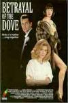 Divorcio Mortal