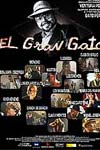 El Gran Gato