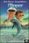 Flipper