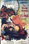 La Fiebre sube al Pao