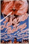 Laberinto de Ppasiones