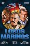 Lobos Marinos