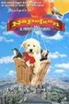 Napoleón, el Perrito Aventurero
