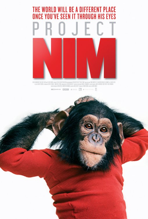 Proyecto Nim