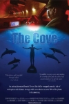 The Cove