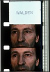 Walden: Diaries, Notes and Sketches